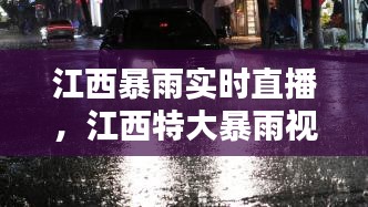 江西暴雨實(shí)時(shí)直播，江西特大暴雨視頻 