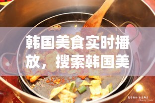 韓國美食實(shí)時(shí)播放，搜索韓國美食 