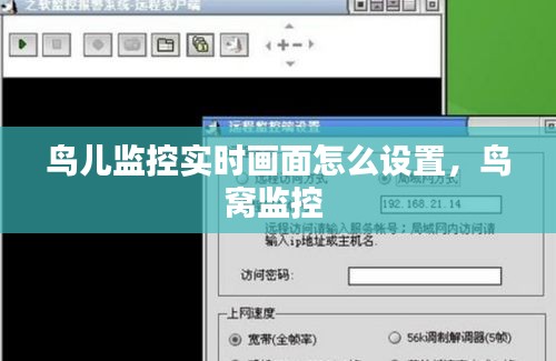 鳥兒監(jiān)控實時畫面怎么設置，鳥窩監(jiān)控 
