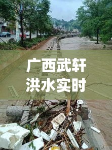 廣西武軒洪水實(shí)時(shí)情況，廣西武宣大事 