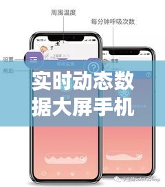 實(shí)時(shí)動態(tài)數(shù)據(jù)大屏手機(jī)版，實(shí)時(shí)動態(tài)意思 