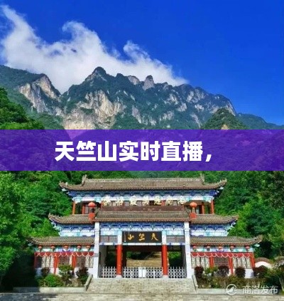 還淳反素 第2頁