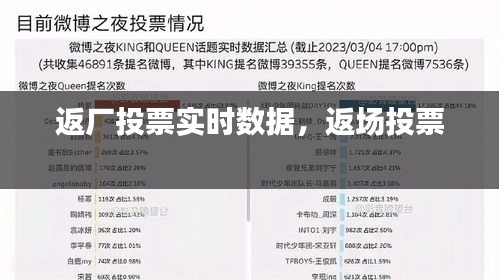 返廠投票實(shí)時(shí)數(shù)據(jù)，返場投票 