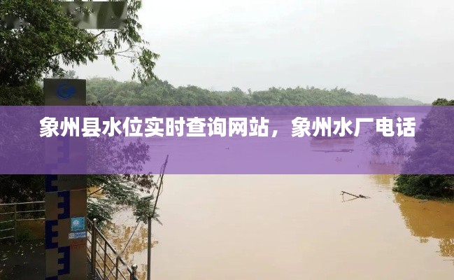 象州縣水位實時查詢網(wǎng)站，象州水廠電話 