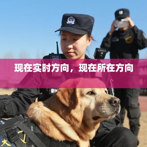 現(xiàn)在實(shí)時(shí)方向，現(xiàn)在所在方向 