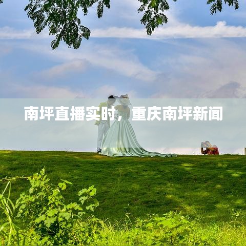 南坪直播實時，重慶南坪新聞 