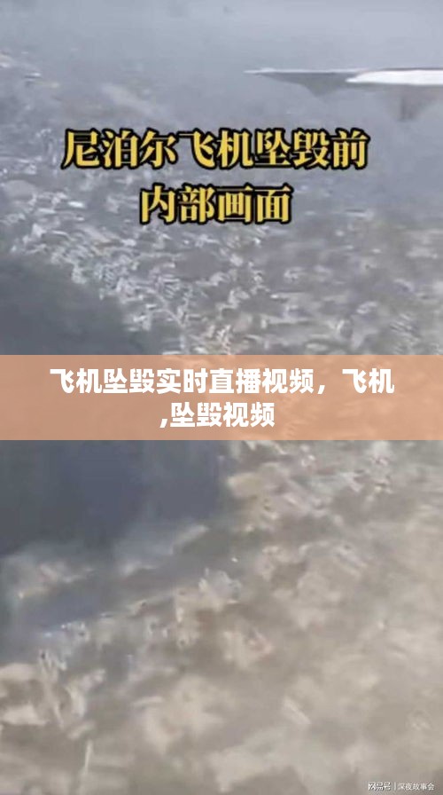 飛機(jī)墜毀實(shí)時(shí)直播視頻，飛機(jī),墜毀視頻 