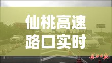 仙桃高速路口實時路況，仙桃高速路口實時路況查詢電話 