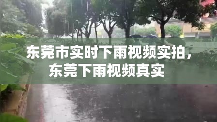 東莞市實(shí)時(shí)下雨視頻實(shí)拍，東莞下雨視頻真實(shí) 