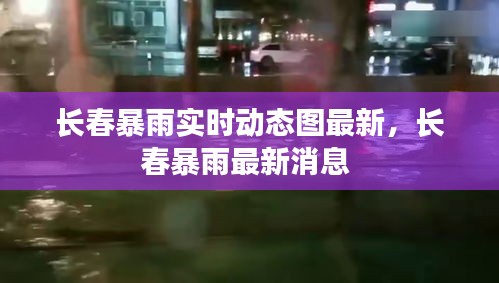 長春暴雨實時動態(tài)圖最新，長春暴雨最新消息 