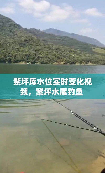 紫坪庫水位實(shí)時(shí)變化視頻，紫坪水庫釣魚 