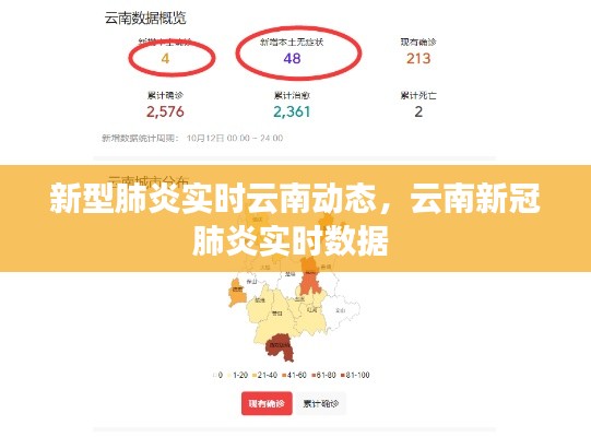 新型肺炎實(shí)時云南動態(tài)，云南新冠肺炎實(shí)時數(shù)據(jù) 
