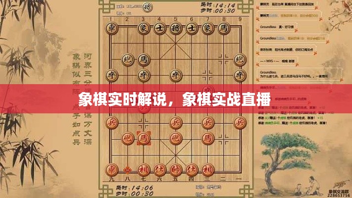 象棋實時解說，象棋實戰(zhàn)直播 