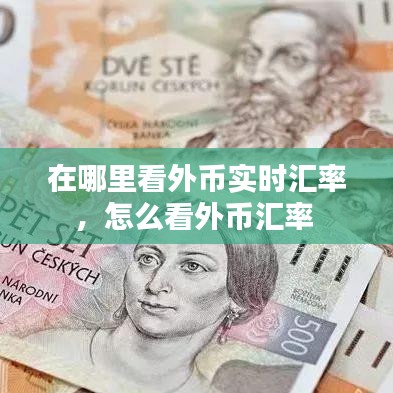 在哪里看外幣實時匯率，怎么看外幣匯率 