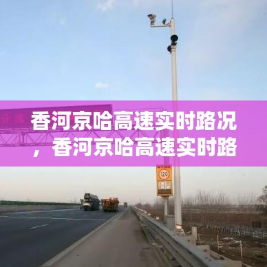 2024年12月 第100頁