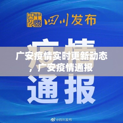 2024年12月 第99頁