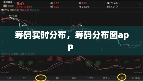 籌碼實(shí)時(shí)分布，籌碼分布圖app 