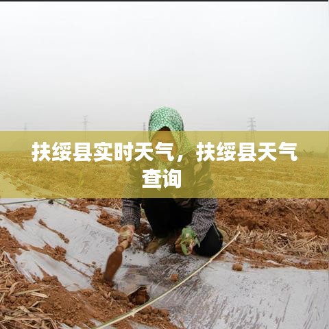 扶綏縣實時天氣，扶綏縣天氣查詢 