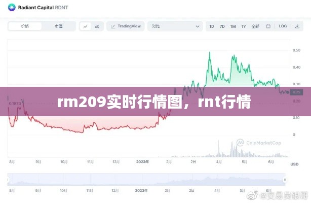 rm209實(shí)時(shí)行情圖，rnt行情 