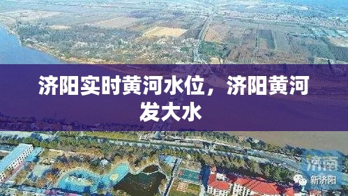 濟(jì)陽實(shí)時(shí)黃河水位，濟(jì)陽黃河發(fā)大水 
