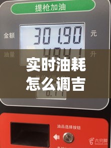 實時油耗怎么調吉利，吉利的油耗表準嗎 