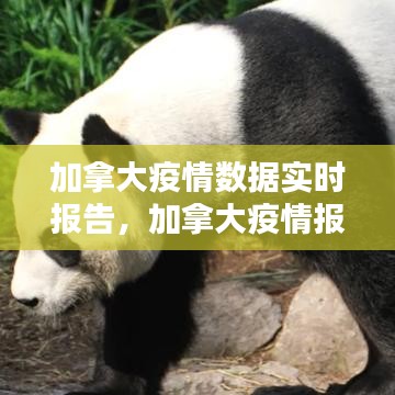 加拿大疫情數(shù)據(jù)實(shí)時(shí)報(bào)告，加拿大疫情報(bào)告最新 