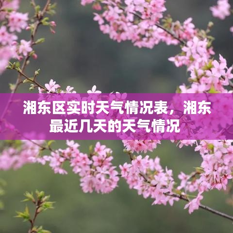 湘東區(qū)實時天氣情況表，湘東最近幾天的天氣情況 