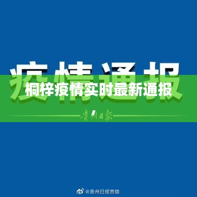 桐梓疫情實(shí)時(shí)最新通報(bào)， 