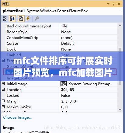mfc文件排序可擴(kuò)展實(shí)時(shí)圖片預(yù)覽，mfc加載圖片 