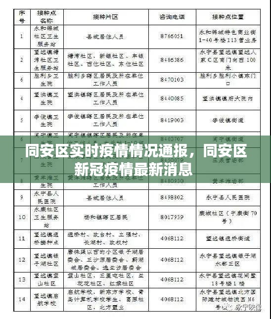 同安區(qū)實時疫情情況通報，同安區(qū)新冠疫情最新消息 