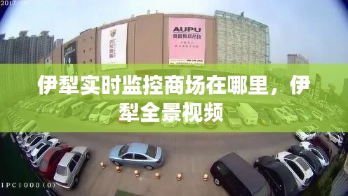 伊犁實時監(jiān)控商場在哪里，伊犁全景視頻 