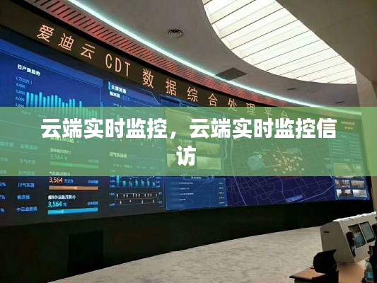 云端實(shí)時(shí)監(jiān)控，云端實(shí)時(shí)監(jiān)控信訪 