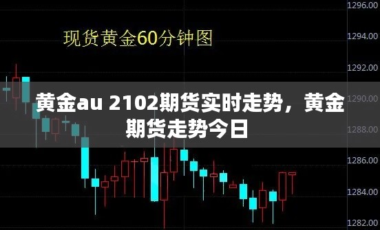 黃金au 2102期貨實(shí)時(shí)走勢(shì)，黃金期貨走勢(shì)今日 