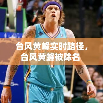 臺(tái)風(fēng)黃峰實(shí)時(shí)路徑，臺(tái)風(fēng)黃蜂被除名 