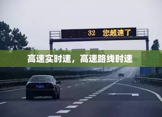 高速實時速，高速路線時速 