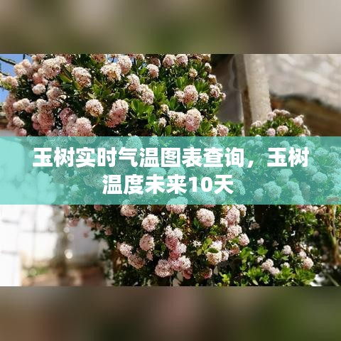 玉樹實時氣溫圖表查詢，玉樹溫度未來10天 