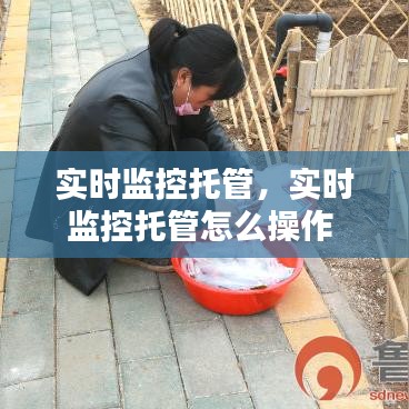 實時監(jiān)控托管，實時監(jiān)控托管怎么操作 