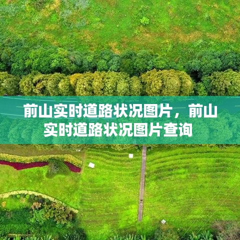 前山實時道路狀況圖片，前山實時道路狀況圖片查詢 