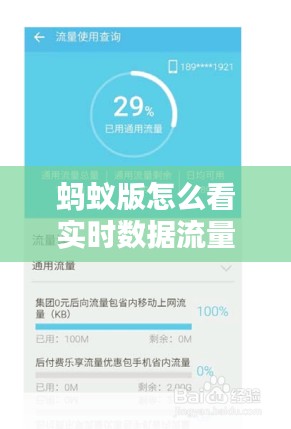 螞蟻版怎么看實時數(shù)據(jù)流量，螞蟻會員流量錢包在哪里看 