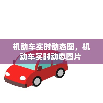 機動車實時動態(tài)圖，機動車實時動態(tài)圖片 