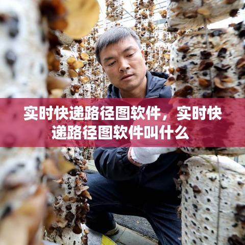 實(shí)時(shí)快遞路徑圖軟件，實(shí)時(shí)快遞路徑圖軟件叫什么 