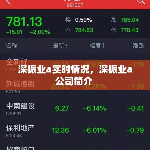 深振業(yè)a實時情況，深振業(yè)a公司簡介 