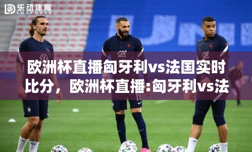 歐洲杯直播匈牙利vs法國實時比分，歐洲杯直播:匈牙利vs法國在線觀看 