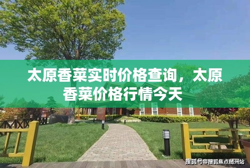 太原香菜實(shí)時(shí)價(jià)格查詢，太原香菜價(jià)格行情今天 