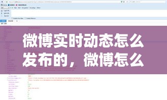 微博實時動態(tài)怎么發(fā)布的，微博怎么發(fā)實時動態(tài)照片 