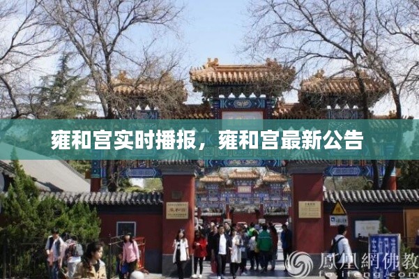 雍和宮實時播報，雍和宮最新公告 