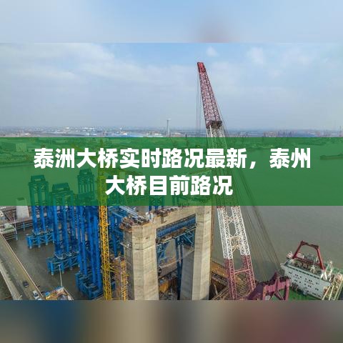 泰洲大橋實時路況最新，泰州大橋目前路況 