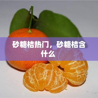 砂糖桔熱門，砂糖桔含什么 