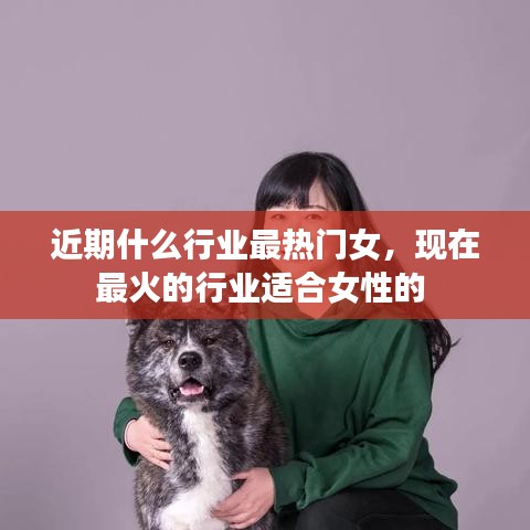 工程案例 第144頁