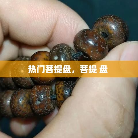 熱門菩提盤，菩提 盤 